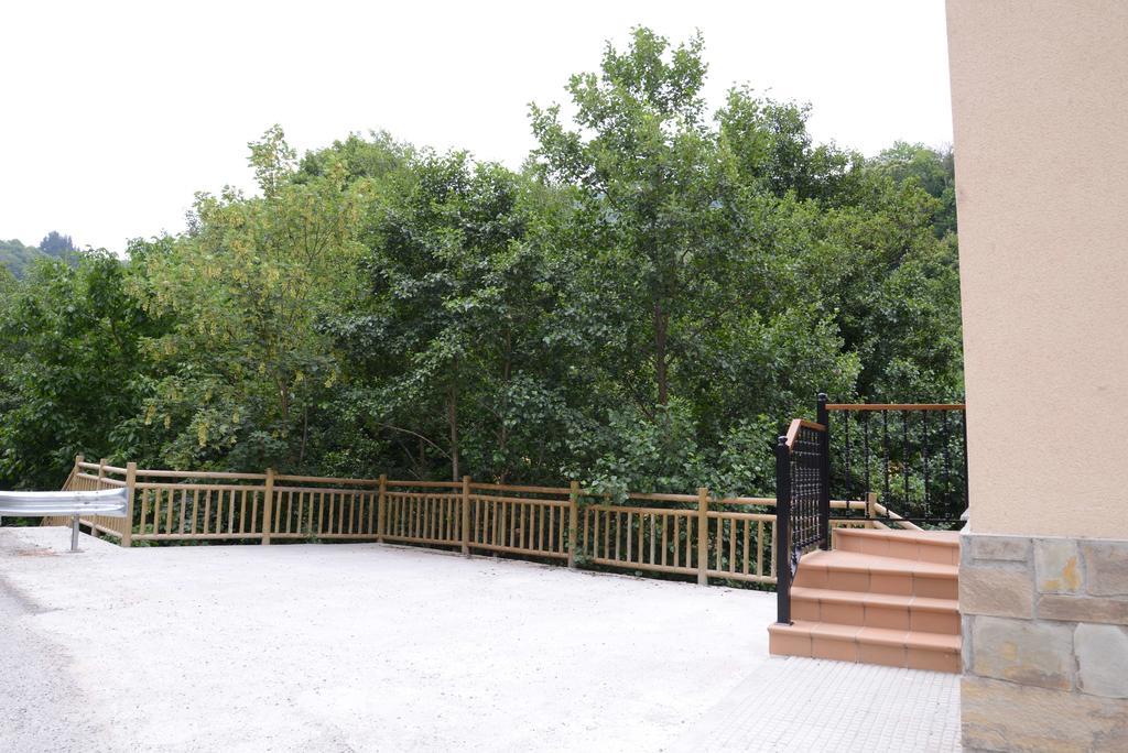 Apartamentos El Rincon De Limes Cangas De Narcea Værelse billede