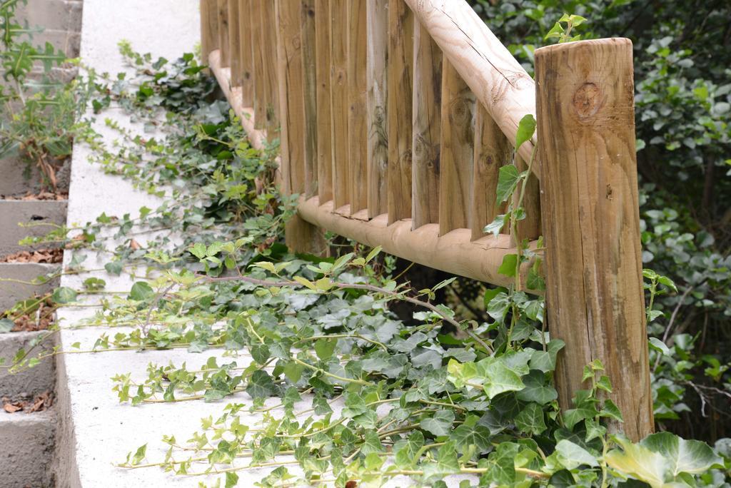 Apartamentos El Rincon De Limes Cangas De Narcea Værelse billede