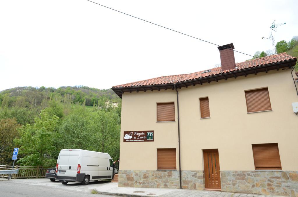 Apartamentos El Rincon De Limes Cangas De Narcea Eksteriør billede
