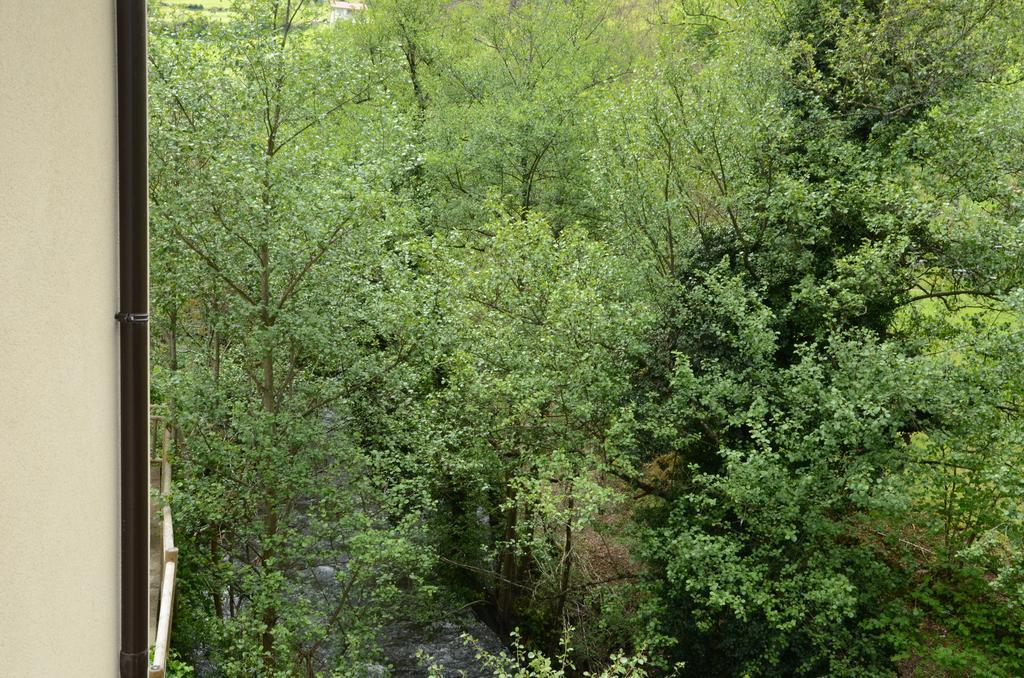 Apartamentos El Rincon De Limes Cangas De Narcea Eksteriør billede